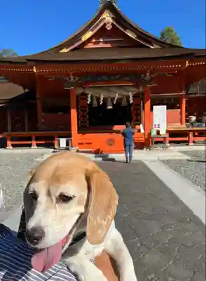 富士山本宮浅間大社(静岡県)