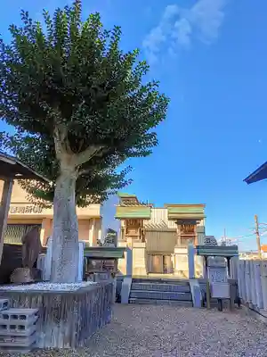 駅前神社の本殿・本堂