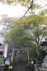 碓氷峠熊野神社の鳥居