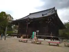 仁和寺(京都府)