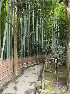 報国寺(神奈川県)
