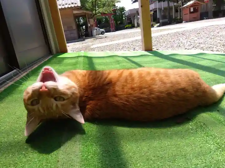 劒神社(福井県)