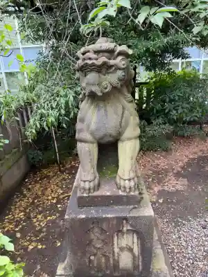 筑土八幡神社の狛犬