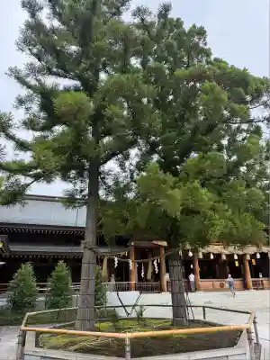 寒川神社(神奈川県)