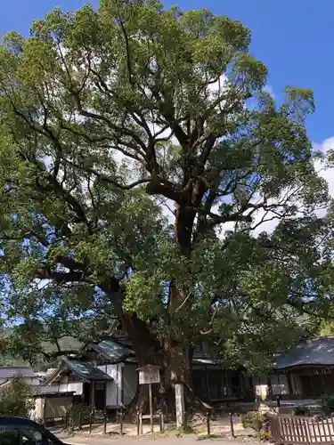 太宰府天満宮の自然