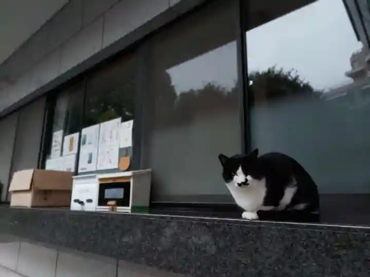 白金氷川神社の動物