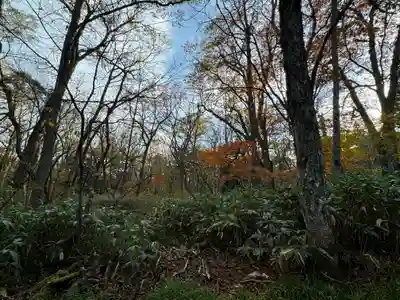 戸隠神社九頭龍社(長野県)