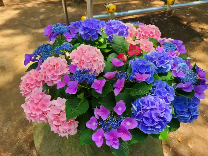 筥崎宮(福岡県)