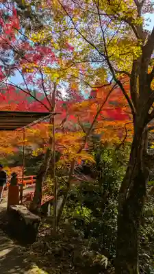 西明寺(京都府)