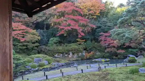 青蓮院門跡の庭園