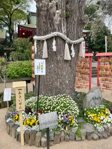 川越八幡宮の{uncategorized: "未分類", other: "その他", undefined: "問題あり", building: "その他建物", grave: "お墓", sacred_gate: "鳥居", guardian: "狛犬", statue: "像", buddha: "仏像", history: "歴史", nature: "自然", garden: "庭園", animal: "動物", pagoda: "塔", temizu: "手水舎", mountain_gate: "山門・神門", sanctuary: "本殿・本堂", subordinate: "末社・摂社", art: "芸術", scenery: "景色", jizo: "地蔵", ema: "絵馬", goshuin: "御朱印", omikuji: "おみくじ", items: "授与品その他", amulet: "お守り", goshuincho: "御朱印帳", eats: "食事", festival: "お祭り", votive_dance: "神楽", shichigosan: "七五三参", wedding: "結婚式", experience: "体験その他", initially: "初詣", around: "周辺", anti_infection: "感染症対策"}