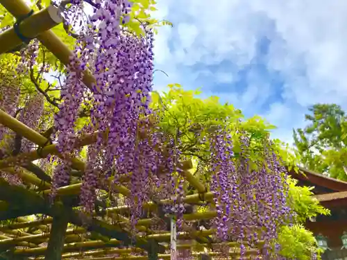 春日大社の庭園