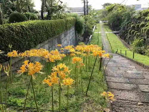 横浜　西方寺の御朱印