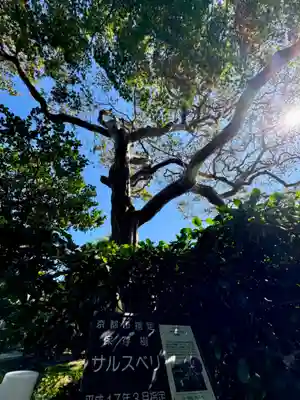 清凉院(京都府)