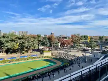 東京競馬場馬頭観音(東京都)