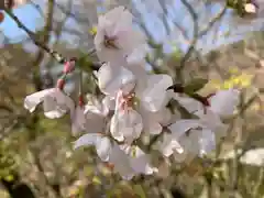 普門寺(切り絵御朱印発祥の寺)(愛知県)