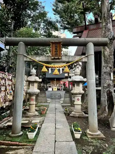 高円寺氷川神社の鳥居