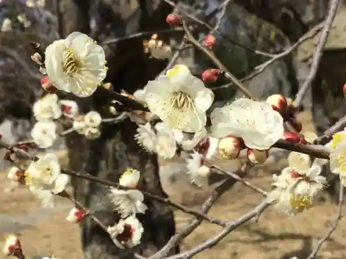 北野天満宮(京都府)