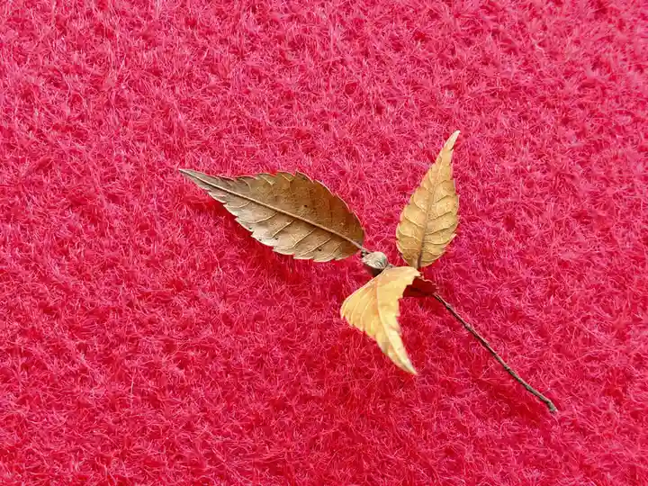 長壽寺(長寿寺)の自然