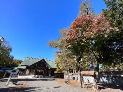 千歳神社の本殿・本堂