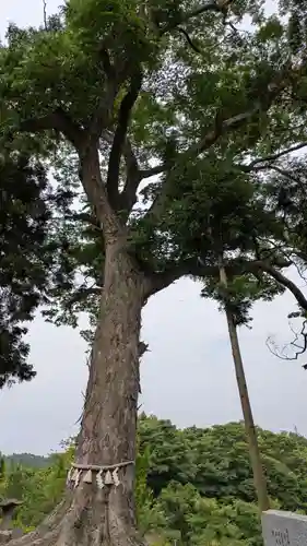 阿久津「田村神社」（郡山市阿久津町）旧社名：伊豆箱根三嶋三社(福島県)