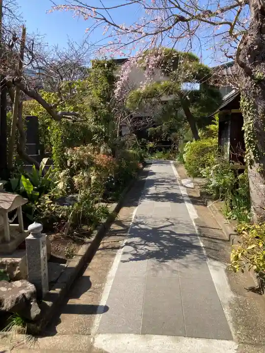 光照寺(神奈川県)