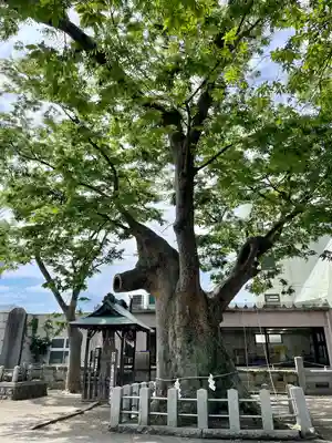 阿邪訶根神社(福島県)