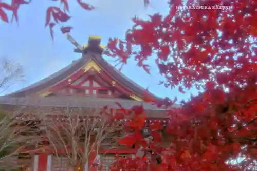 大山阿夫利神社(神奈川県)