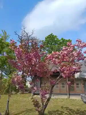 厳島神社(北海道)