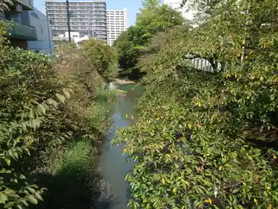 松戸神社(千葉県)