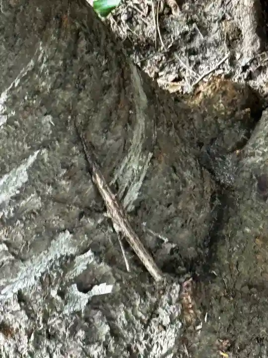 霧島神宮(鹿児島県)