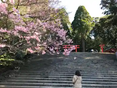 霧島神宮(鹿児島県)