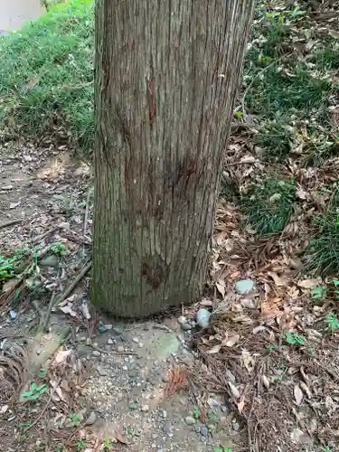 愛宕神社(群馬県)