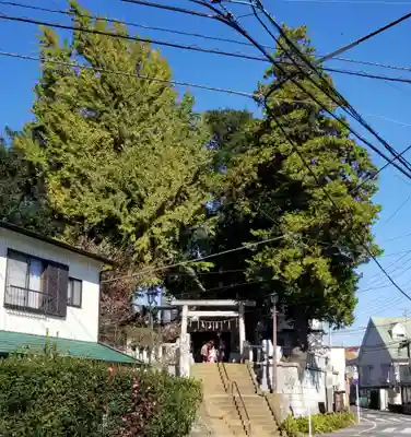 矢切神社の鳥居