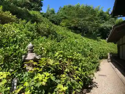 観音寺のその他建物