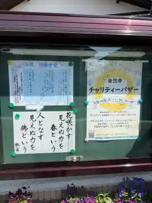 自然寺の{uncategorized: "未分類", other: "その他", undefined: "問題あり", building: "その他建物", grave: "お墓", sacred_gate: "鳥居", guardian: "狛犬", statue: "像", buddha: "仏像", history: "歴史", nature: "自然", garden: "庭園", animal: "動物", pagoda: "塔", temizu: "手水舎", mountain_gate: "山門・神門", sanctuary: "本殿・本堂", subordinate: "末社・摂社", art: "芸術", scenery: "景色", jizo: "地蔵", ema: "絵馬", goshuin: "御朱印", omikuji: "おみくじ", items: "授与品その他", amulet: "お守り", goshuincho: "御朱印帳", eats: "食事", festival: "お祭り", votive_dance: "神楽", shichigosan: "七五三参", wedding: "結婚式", experience: "体験その他", initially: "初詣", around: "周辺", anti_infection: "感染症対策"}