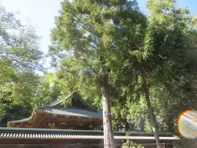 仙台東照宮(宮城県)