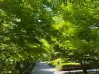 淨眞寺(東京都)