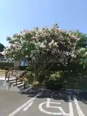 法華寺(埼玉県)