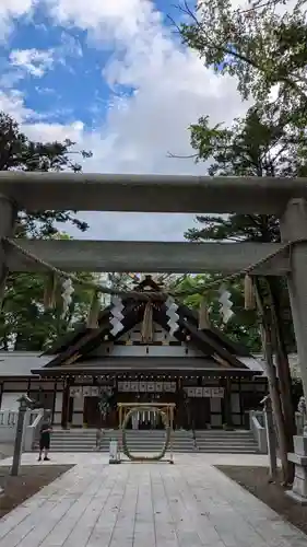 新琴似神社の鳥居
