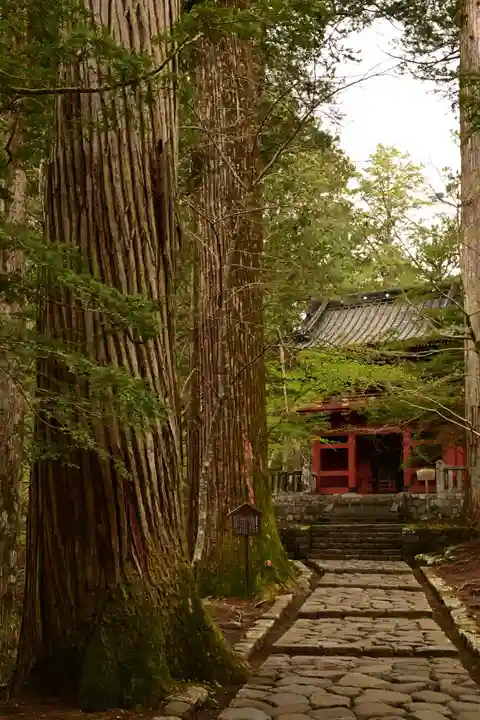 瀧尾神社(日光二荒山神社別宮)(栃木県)