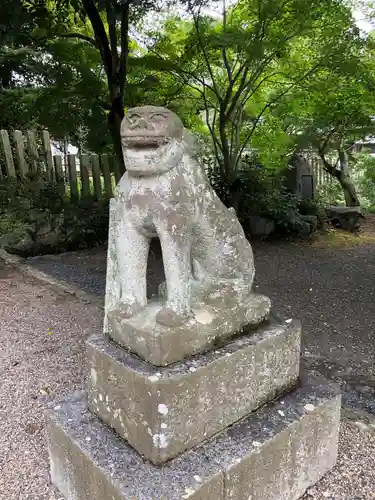 中山神社の狛犬