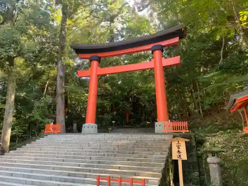 宇佐神宮(大分県)