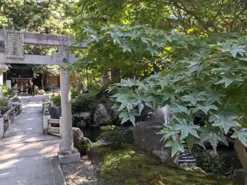 建部大社(滋賀県)