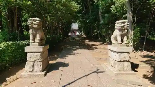 高田天満宮の狛犬