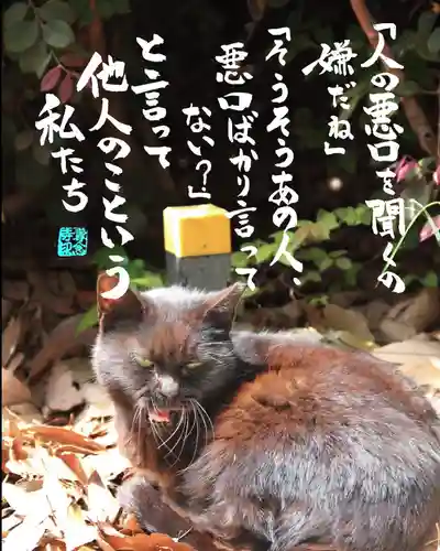 専念寺(大阪府)