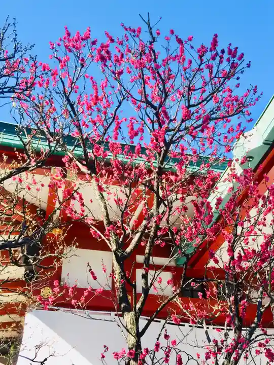 日枝神社の自然