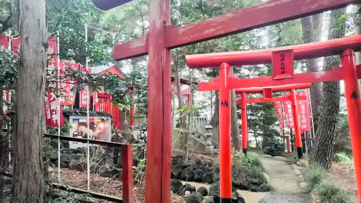 開運招福 飯玉神社(群馬県)