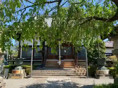 大蔵院の{uncategorized: "未分類", other: "その他", undefined: "問題あり", building: "その他建物", grave: "お墓", sacred_gate: "鳥居", guardian: "狛犬", statue: "像", buddha: "仏像", history: "歴史", nature: "自然", garden: "庭園", animal: "動物", pagoda: "塔", temizu: "手水舎", mountain_gate: "山門・神門", sanctuary: "本殿・本堂", subordinate: "末社・摂社", art: "芸術", scenery: "景色", jizo: "地蔵", ema: "絵馬", goshuin: "御朱印", omikuji: "おみくじ", items: "授与品その他", amulet: "お守り", goshuincho: "御朱印帳", eats: "食事", festival: "お祭り", votive_dance: "神楽", shichigosan: "七五三参", wedding: "結婚式", experience: "体験その他", initially: "初詣", around: "周辺", anti_infection: "感染症対策"}