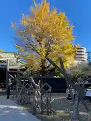 牛嶋神社(東京都)